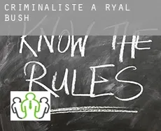 Criminaliste à Ryal Bush