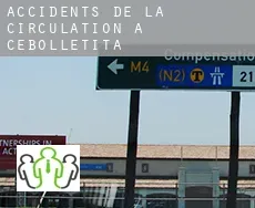 Accidents de la circulation à Cebolletita