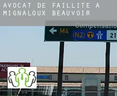 Avocat de faillite à Mignaloux-Beauvoir