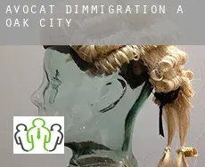 Avocat d'immigration à Oak City