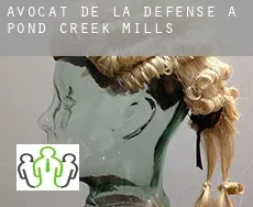 Avocat de la défense à Pond Creek Mills