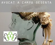 Avocat à Campo Sesenta