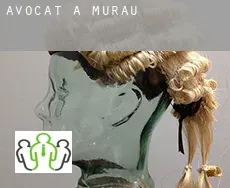 Avocat à Politischer Bezirk Murau