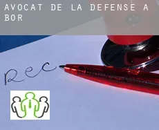 Avocat de la défense à  Bor