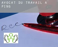 Avocat du travail à Ping
