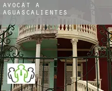 Avocat à  Aguascalientes