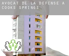 Avocat de la défense à Cooks Springs