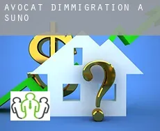 Avocat d'immigration à Suno