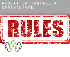 Avocat du travail à Springhaven