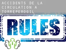 Accidents de la circulation à Torreperogil