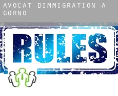 Avocat d'immigration à Górno