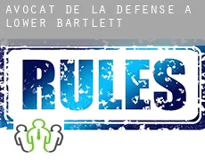 Avocat de la défense à Lower Bartlett