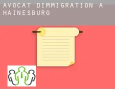 Avocat d'immigration à Hainesburg