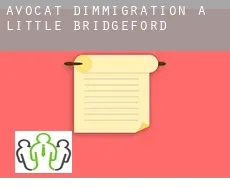 Avocat d'immigration à Little Bridgeford