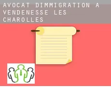 Avocat d'immigration à Vendenesse-lès-Charolles