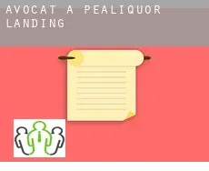 Avocat à  Pealiquor Landing