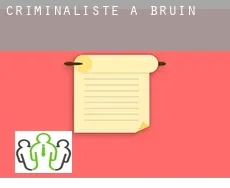Criminaliste à  Bruin