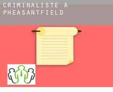 Criminaliste à Pheasantfield