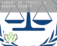 Avocat du travail à  Hudson