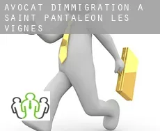 Avocat d'immigration à Saint-Pantaléon-les-Vignes