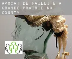 Avocat de faillite à  Grande Prairie County