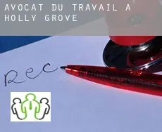 Avocat du travail à Holly Grove